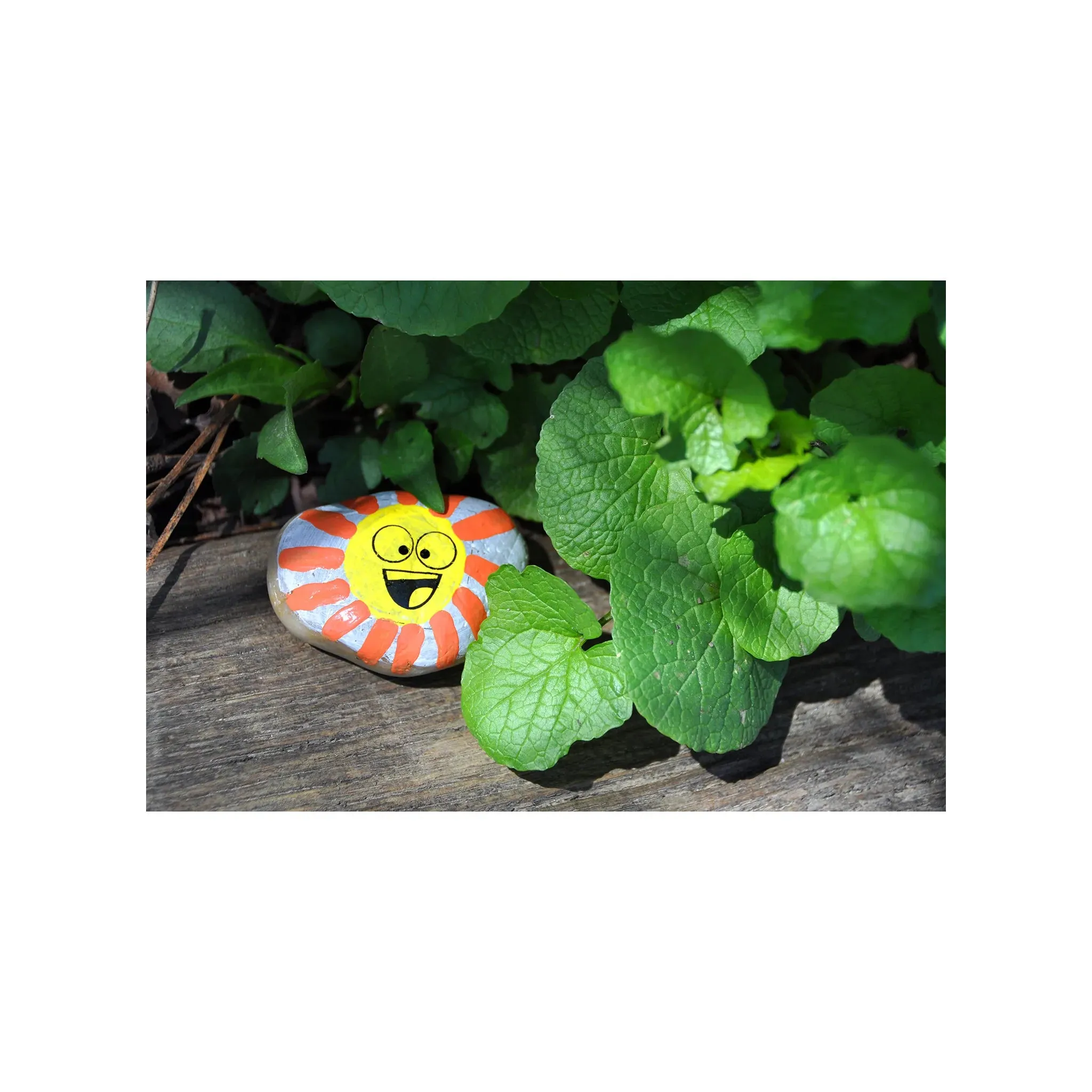 Creativity for Kids 6161 Hide & Seek Rock Painting Kit