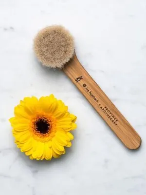 Facial Dry Brush