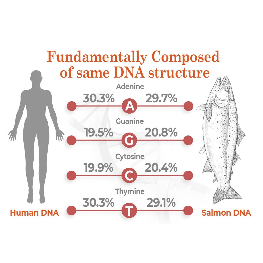 flysmus BioRegen PDRN Lachs-DNA-Ampulle