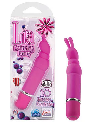LIA - BOUNDING BUNNY