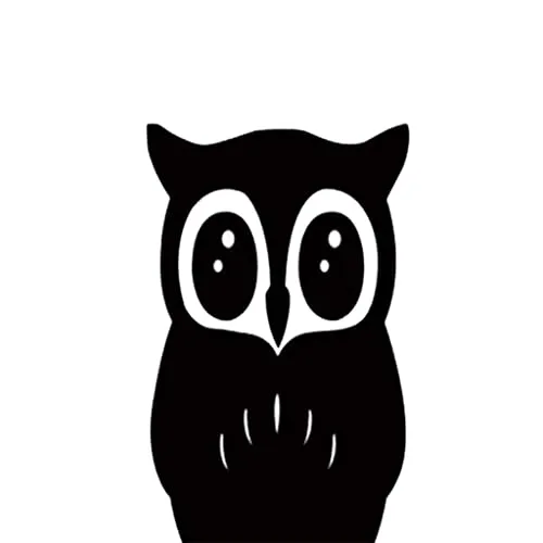 LICHTS 3D Mirror Style OWL Removable Decal Wall Sticker DIY Decorative Mural -Black