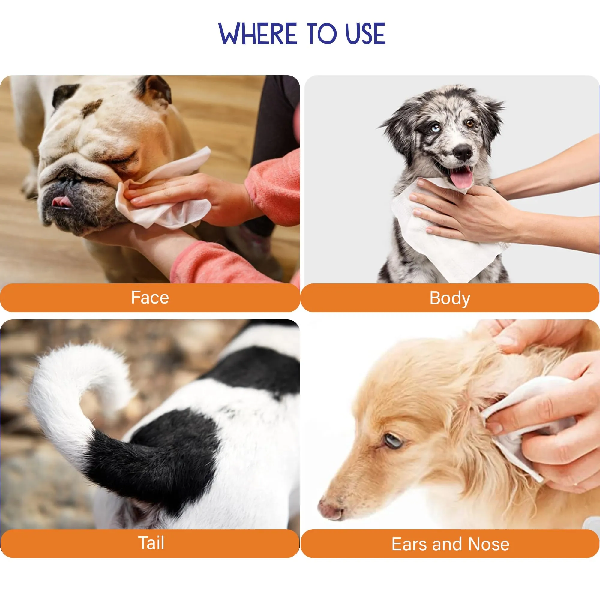Petvit Pet wipes dogs | Dog wipes for Cleaning and Grooming | Pack of 1-50 Pulls|Petvit Pet Wipes for Dogs | Ear Cleaning Dog Wipes | Aloe vera | Vitamin E | Relieves Ear Itching | Fresh Scent