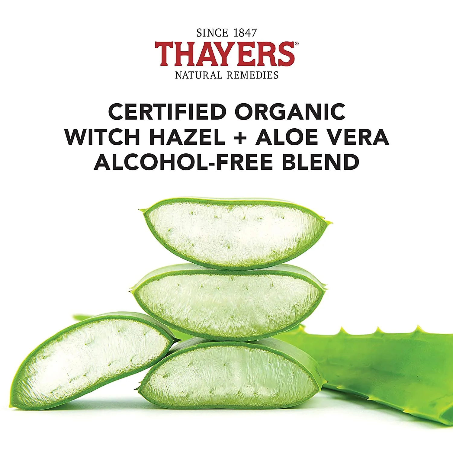 Thayers Rose Petal Witch Hazel Toner With Aloe Vera