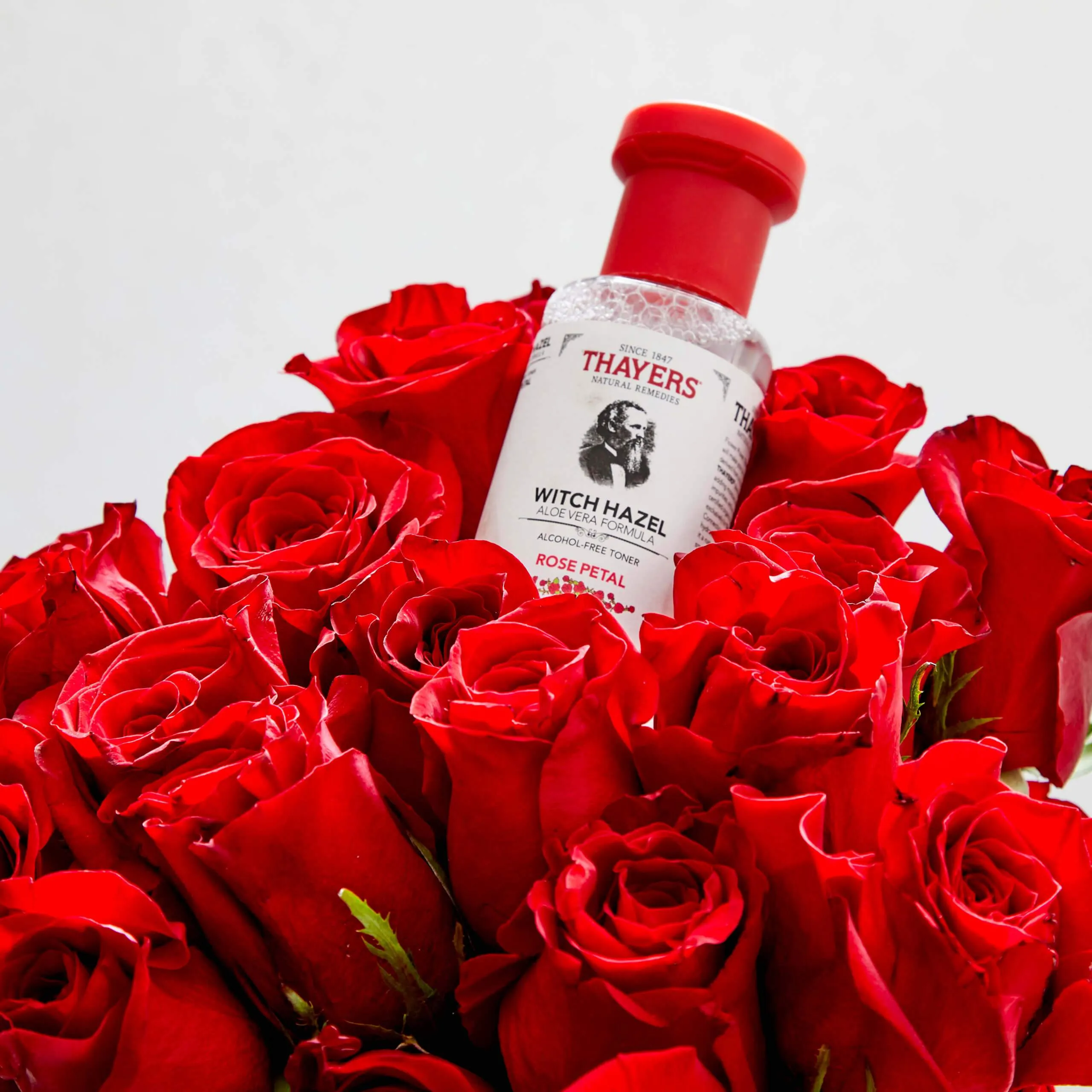 Thayers Rose Petal Witch Hazel Toner With Aloe Vera